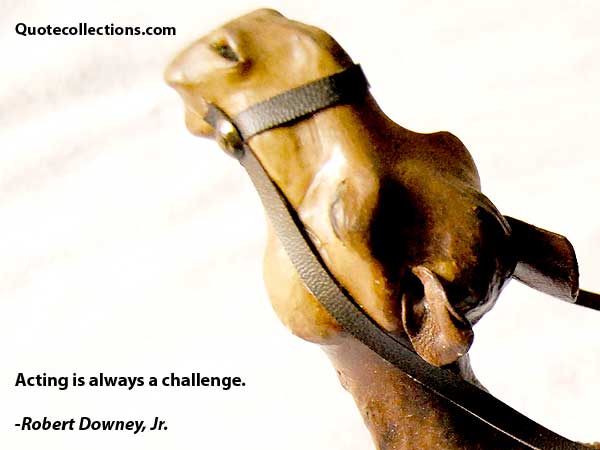 Robert Downey,Jr. Quotes1